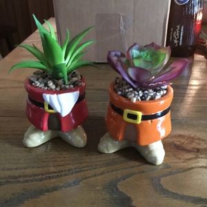 Doc & Grumpy faux succulent holders